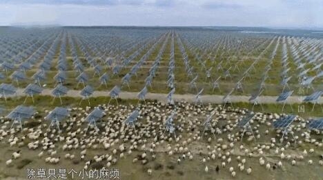 【電廠】2018年水電再次霸屏央視 水光互補項目閃亮登場！ - TECO東元電機 | 變頻器·伺服電機·減速機·電機解決方案