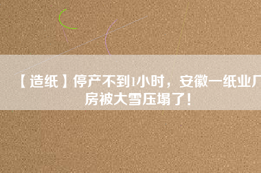 【造紙】停產(chǎn)不到1小時(shí)，安徽一紙業(yè)廠房被大雪壓塌了！