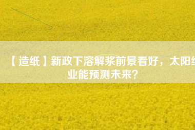 【造紙】新政下溶解漿前景看好，太陽(yáng)紙業(yè)能預(yù)測(cè)未來(lái)？