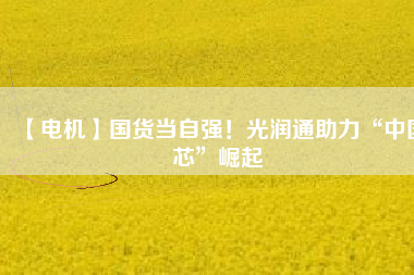 【電機(jī)】國(guó)貨當(dāng)自強(qiáng)！光潤(rùn)通助力“中國(guó)芯”崛起
          