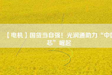 【電機(jī)】國(guó)貨當(dāng)自強(qiáng)！光潤(rùn)通助力“中國(guó)芯”崛起
          