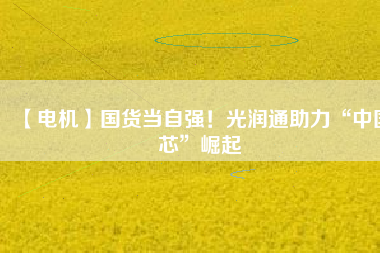 【電機(jī)】國(guó)貨當(dāng)自強(qiáng)！光潤(rùn)通助力“中國(guó)芯”崛起
          