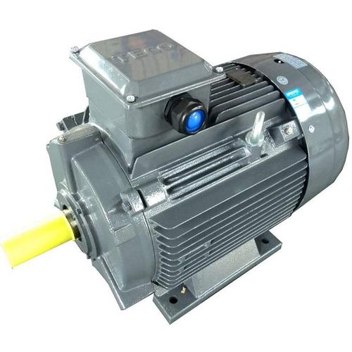 東元電機 AEEVYY系列 三相異步電機